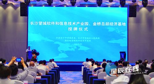 望城軟件園揚(yáng)帆起航，專項(xiàng)扶持政策助力信息技術(shù)服務(wù)業(yè)騰飛